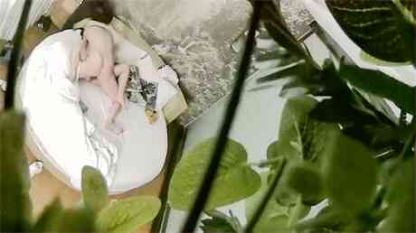 偷拍清纯可爱的大学美女被眼镜男甜言蜜语哄骗操完这次不操了海报剧照